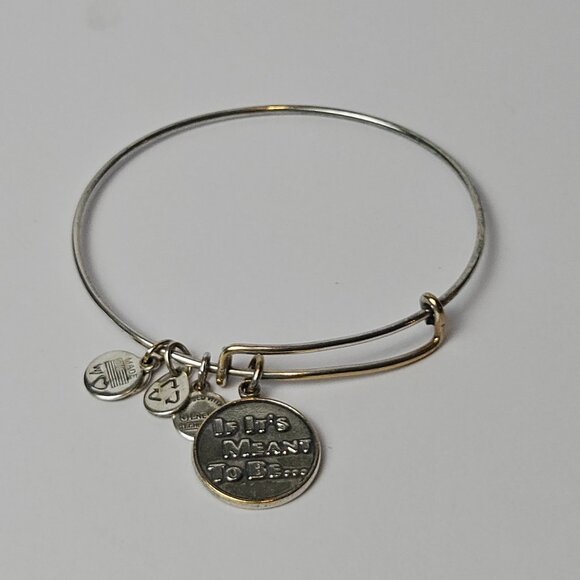 Alex and Ani "If It's Meant to Be" Bangle Bracelet - Picture 1 of 5